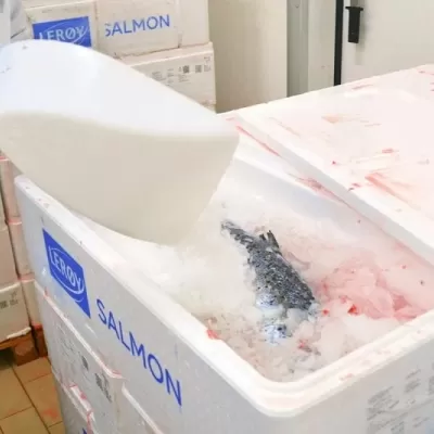 Consegna di pesce fresco per ristoranti