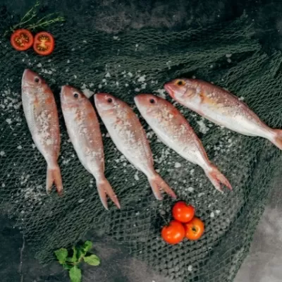 Fornitore di pesce per hotel 