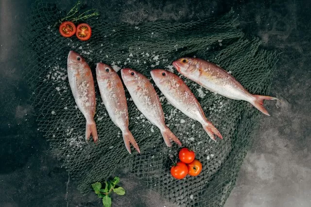 Fornitore di pesce per hotel e strutture ricettive