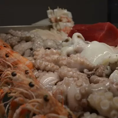 Ingrosso di pesce a Milano