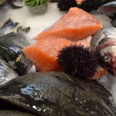 Ingrosso di pesce per ristoranti sushi