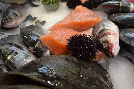 Ingrosso di pesce per ristoranti sushi