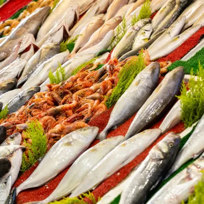 Vendita di pesce ad ingrosso: come funziona e cosa la distingue dalla pescheria