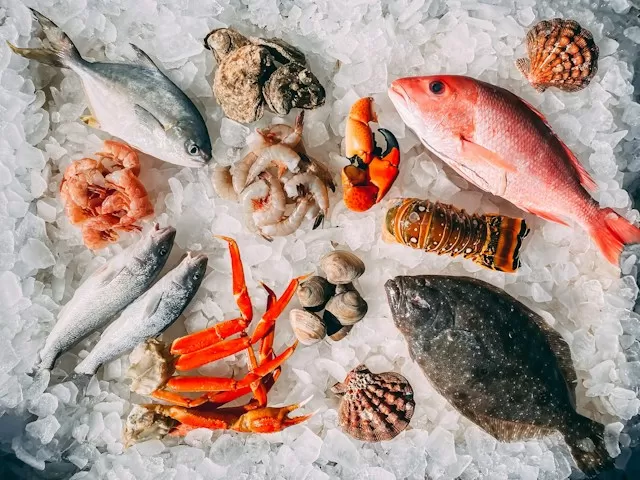 Fornitore di pesce congelato a Mantova e dintorni