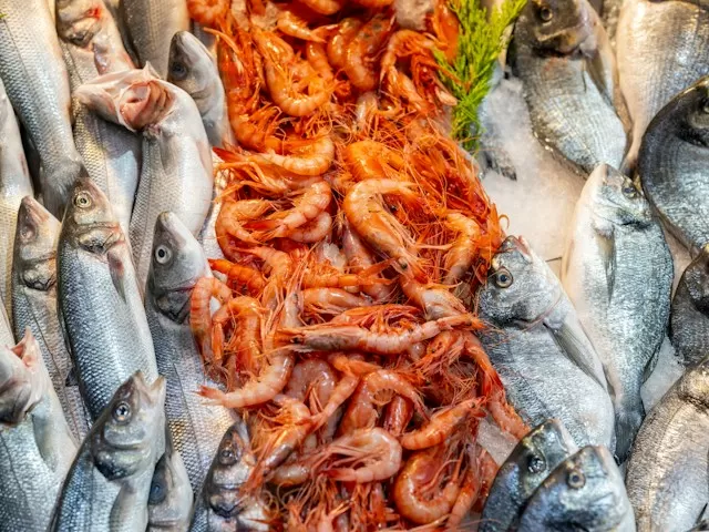 Fornitore di pesce fresco in Emilia-Romagna